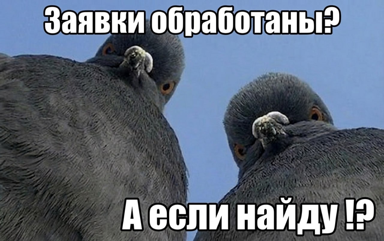 почему нет продаж: что происходит с заявками и как это выявить