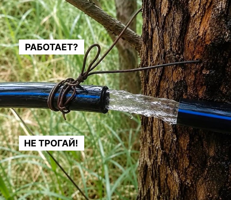 работает, не трогай? почему 2/3 бюджета яндекс директа сливается